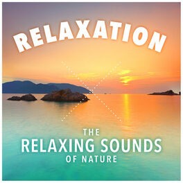 Album cover of Relaxation - The Relaxing Sounds of Nature