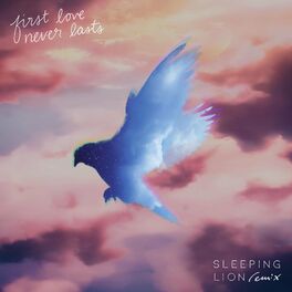 Album cover of First Love Never Lasts (Sleeping Lion Remix)