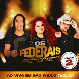 Album cover of Ao Vivo em São Paulo, Vol. 2