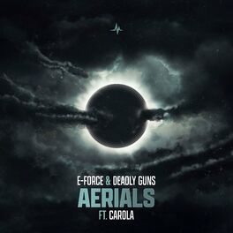 Album cover of Aerials