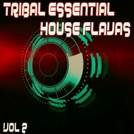 Album cover of Tribal Essential House Flavas, Vol. 2 (Album)