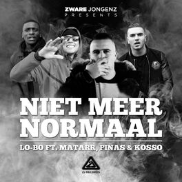 Album cover of Niet Meer Normaal