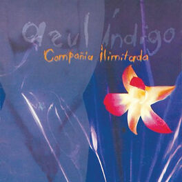 Album cover of Azul Indigo