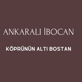 Album cover of Köprünün Altı Bostan