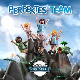 Album cover of Perfektes Team