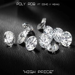 Album cover of High Price (feat. Domo & Meaku)
