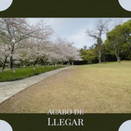 Album cover of Acabo de Llegar