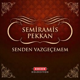 Album cover of Senden Vazgeçemem