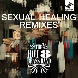 Album cover of Sexual Healing (Remixes)