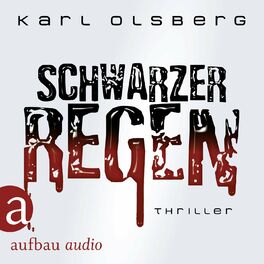Album cover of Schwarzer Regen (Ungekürzt)