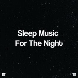 Album cover of Sleep Music For The Night