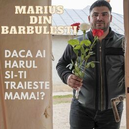 Album cover of Daca ai harul si-ti traieste mama!?