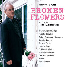 Album picture of Broken Flowers