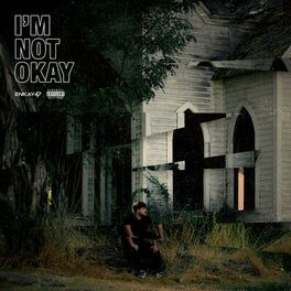 Album cover of im not okay