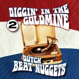 Album cover of Dutch Beat Nuggets, Vol. 2 (remastered)