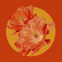 Album cover of Desert Flower (Remix)
