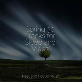 Album cover of Spring 30 Tracks for Sleep and Vibes