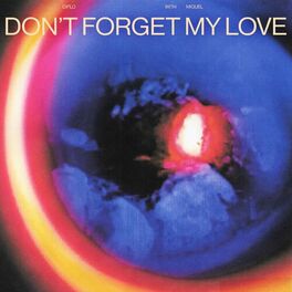 Album cover of Don’t Forget My Love