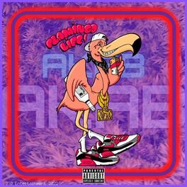 Album cover of Flamingolife
