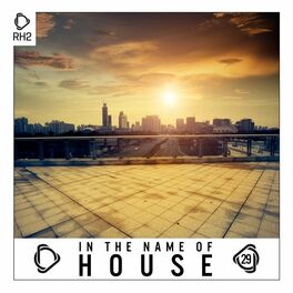 Album cover of In the Name of House, Vol. 29