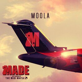 Album cover of Made, Vol. 1 - Moola