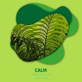Album cover of Calm Woodland Chatter