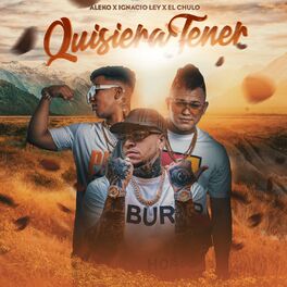 Album cover of Quisiera Tener (Acústica)