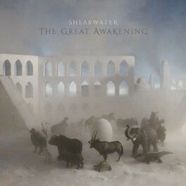 Album cover of The Great Awakening