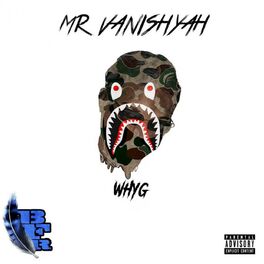 Album cover of Mr Vanishyah