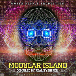 Album cover of Modular Island