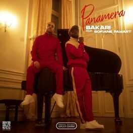 Album cover of Panamera (feat. Sofiane Pamart)