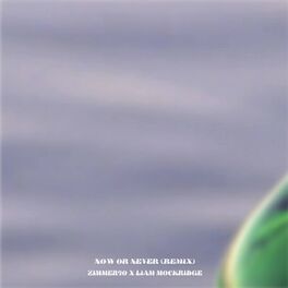 Album cover of Now Or Never (Liam Mockridge Remix)