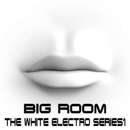 Album cover of Big Room, The White Electro Series Vol.1