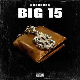 Album cover of BIG 15