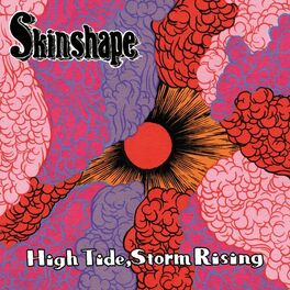 Album cover of High Tide, Storm Rising