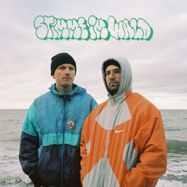 Album cover of Stimme im Wald