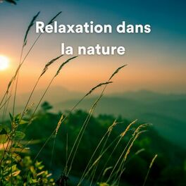 Album cover of Relaxation dans la nature