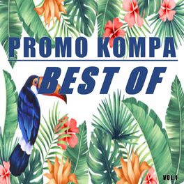 Album cover of Best of promo kompa (Vol.1)