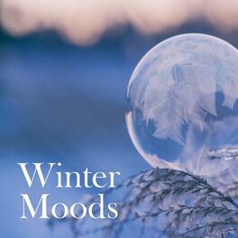 Album cover of Winter Moods