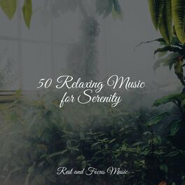 Album cover of 50 Relaxing Music for Serenity