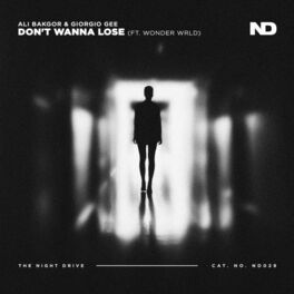 Album cover of Don't Wanna Lose