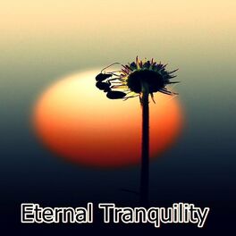 Album cover of Eternal Tranquility