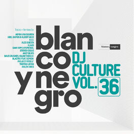 Album cover of Blanco Y Negro DJ Culture Vol. 36
