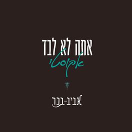 Album cover of אתה לא לבד (אקוסטי)