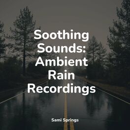 Album cover of Soothing Sounds: Ambient Rain Recordings