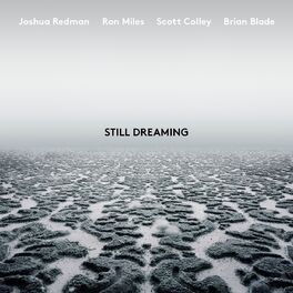 Album cover of Still Dreaming (feat. Ron Miles, Scott Colley & Brian Blade)