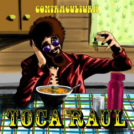 Album cover of Toca Raul