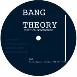 Album cover of Bang Theory