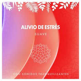 Album cover of Alivio de Estrés Suave con Sonidos Tranquilizantes