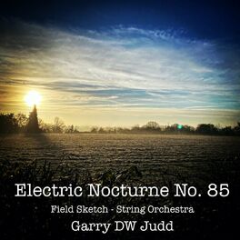 Album cover of Electric Nocturne No. 85 - Field Sketch